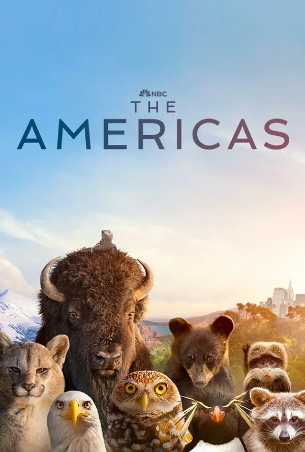 Америка